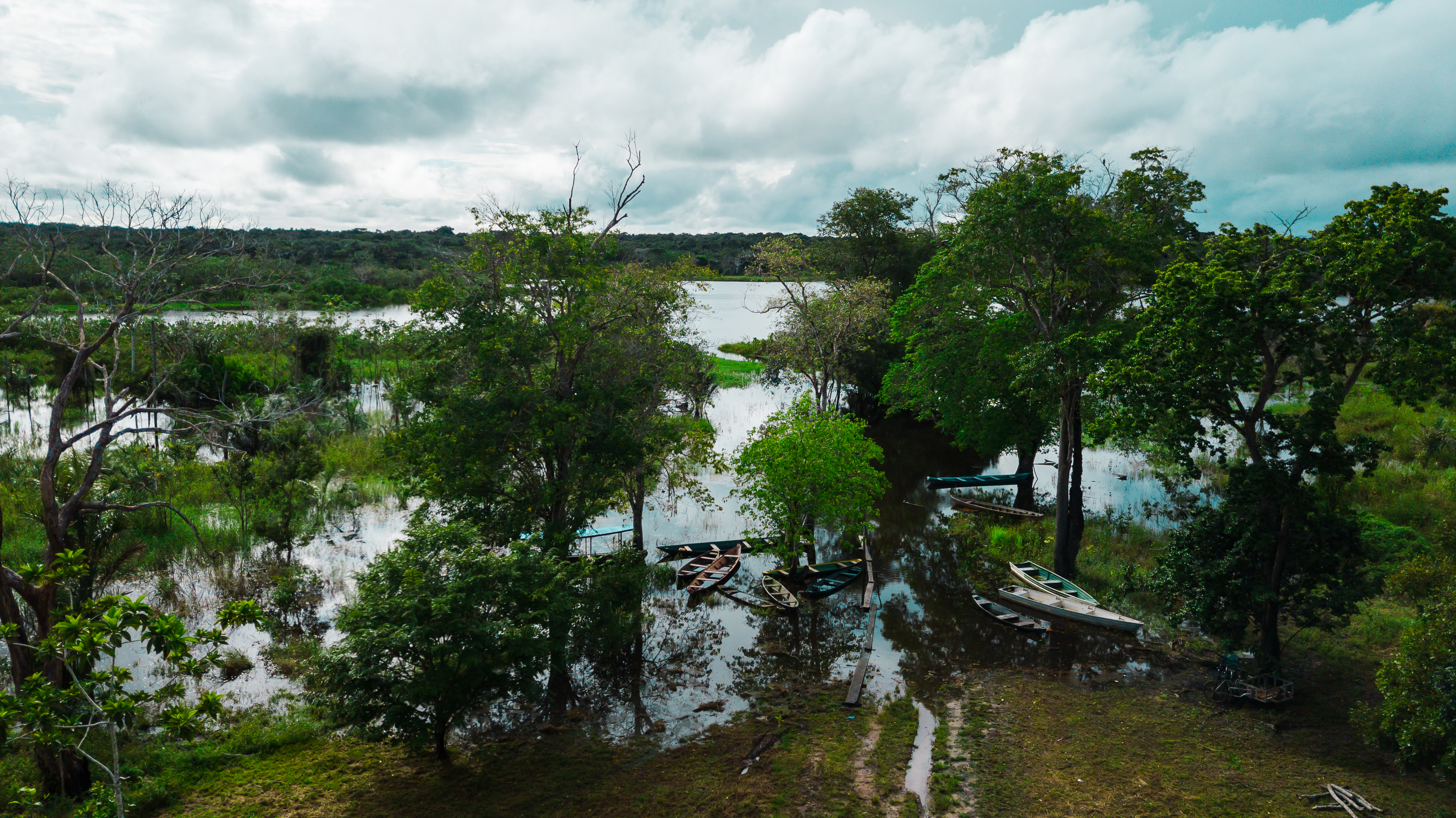 Área úmida na APA Jará, em Juruti, no Pará (Foto Márcio NaganoImazon)