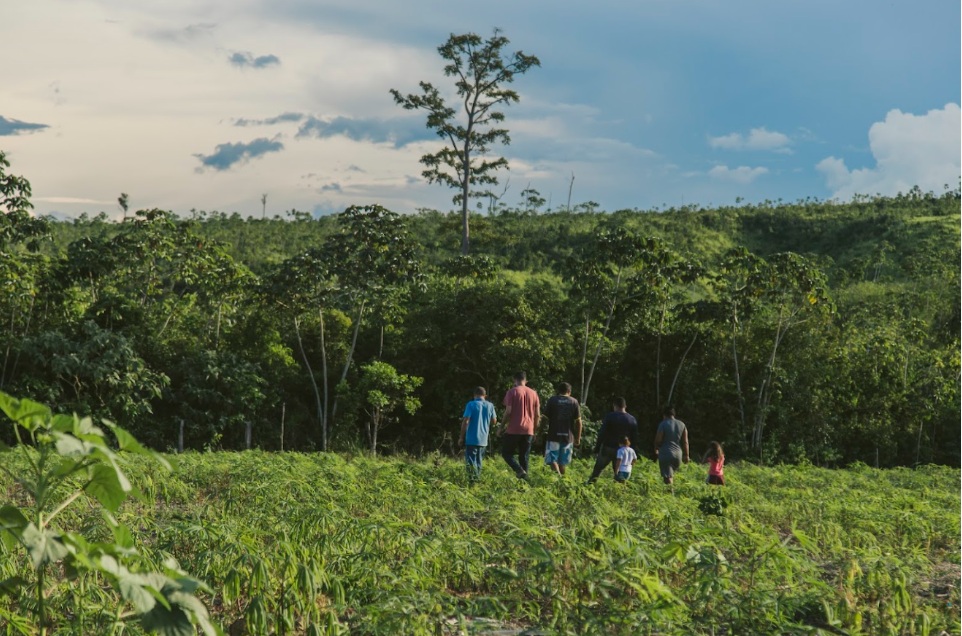 Área com produção agrícola e vegetação secundária na Amazônia (Foto: Vitória Leona/Imazon)