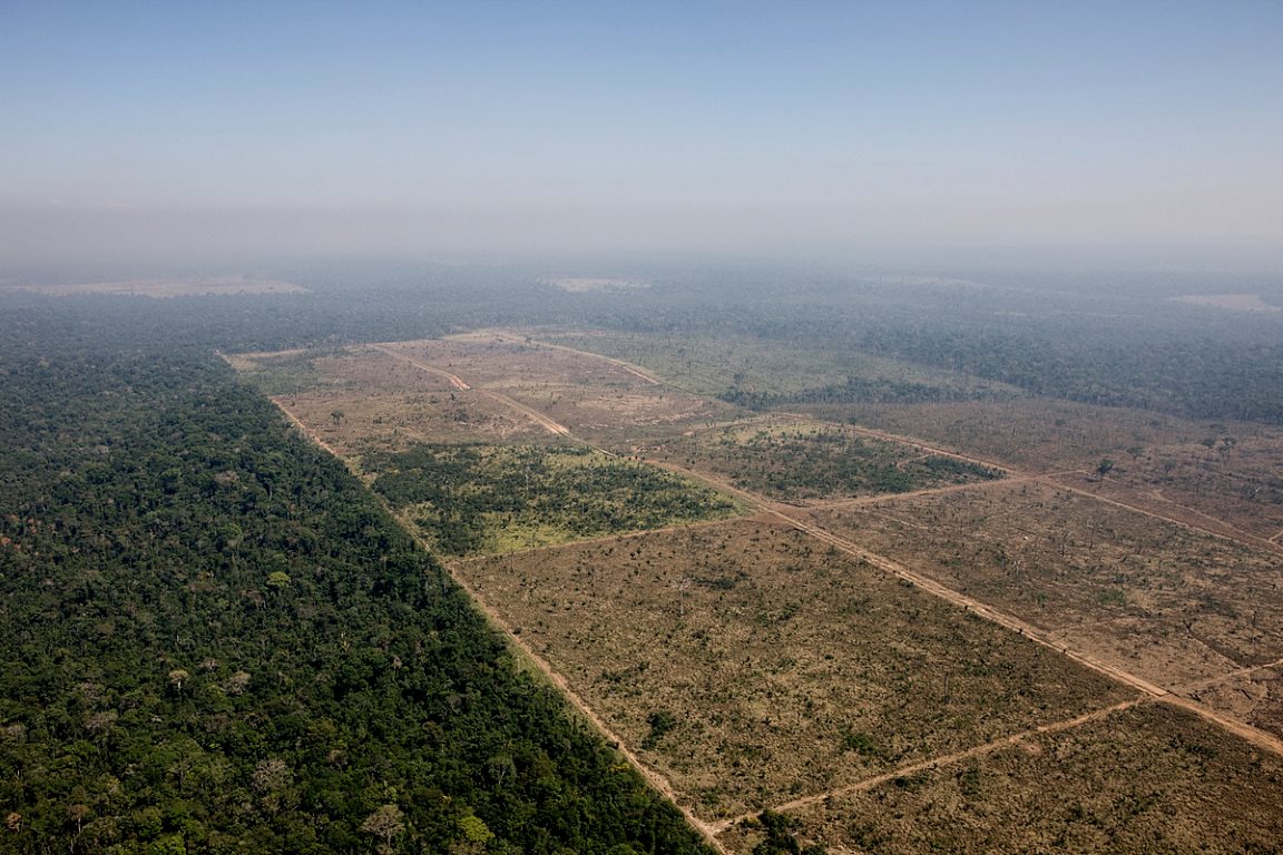 Área desmatada para produção agropecuária dentro da Floresta Nacional do Jamanxim (Foto: Daniel Beltrá/Greenpeace.)