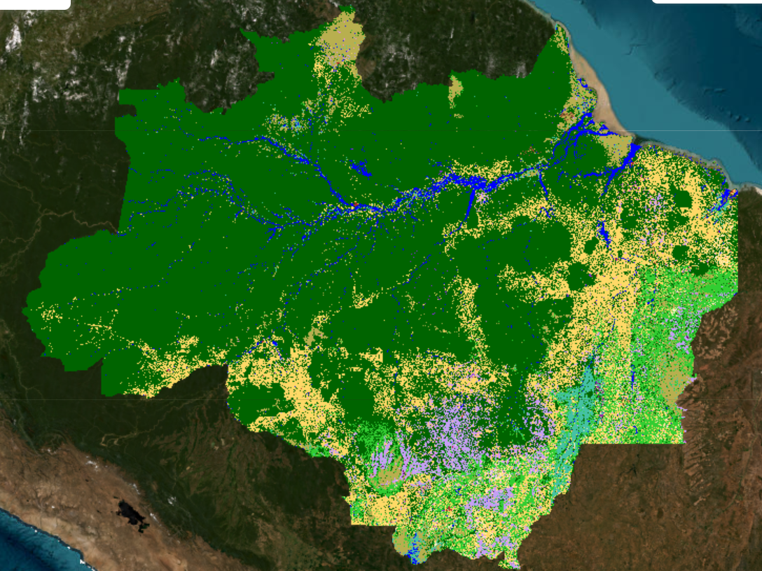 El mapa muestra áreas agropecuarias en amarillo (Fuente: MapBiomas)