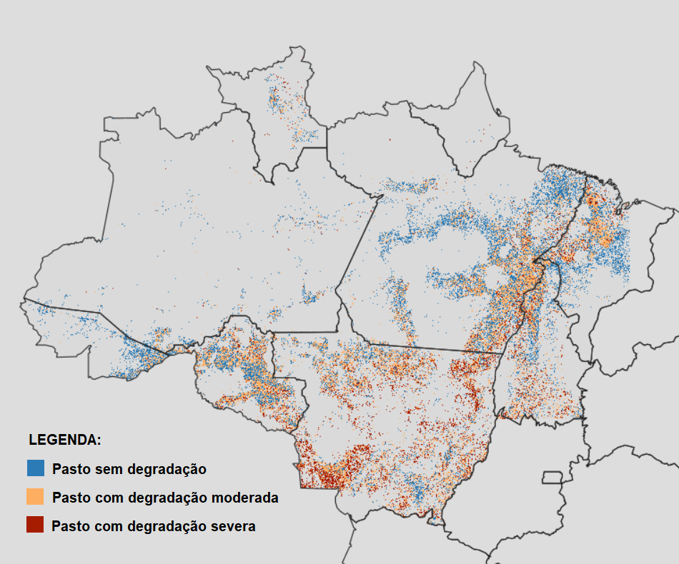 El mapa muestra la situación de los pastizales en la Amazonía Legal en 2021 (Fuente: MapBiomas, con leyenda propia)