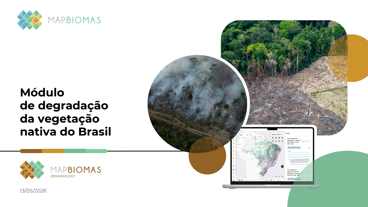 Módulo de degradação da vegetação nativa do Brasil