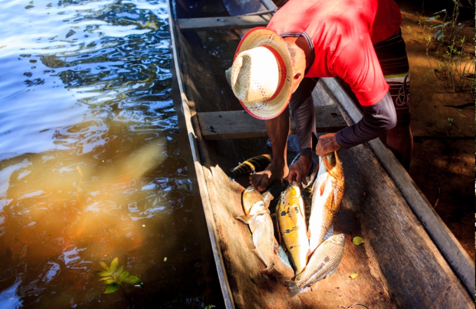 Comunitário pescando na Flota do Trombetas (Foto: Rafael Araújo/Imazon)