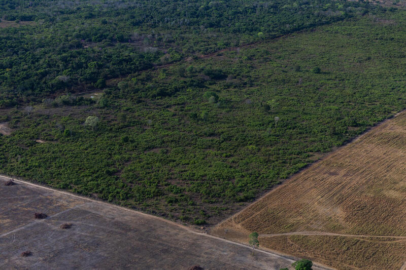 Imagem: Tuane Fernandes / Greenpeace