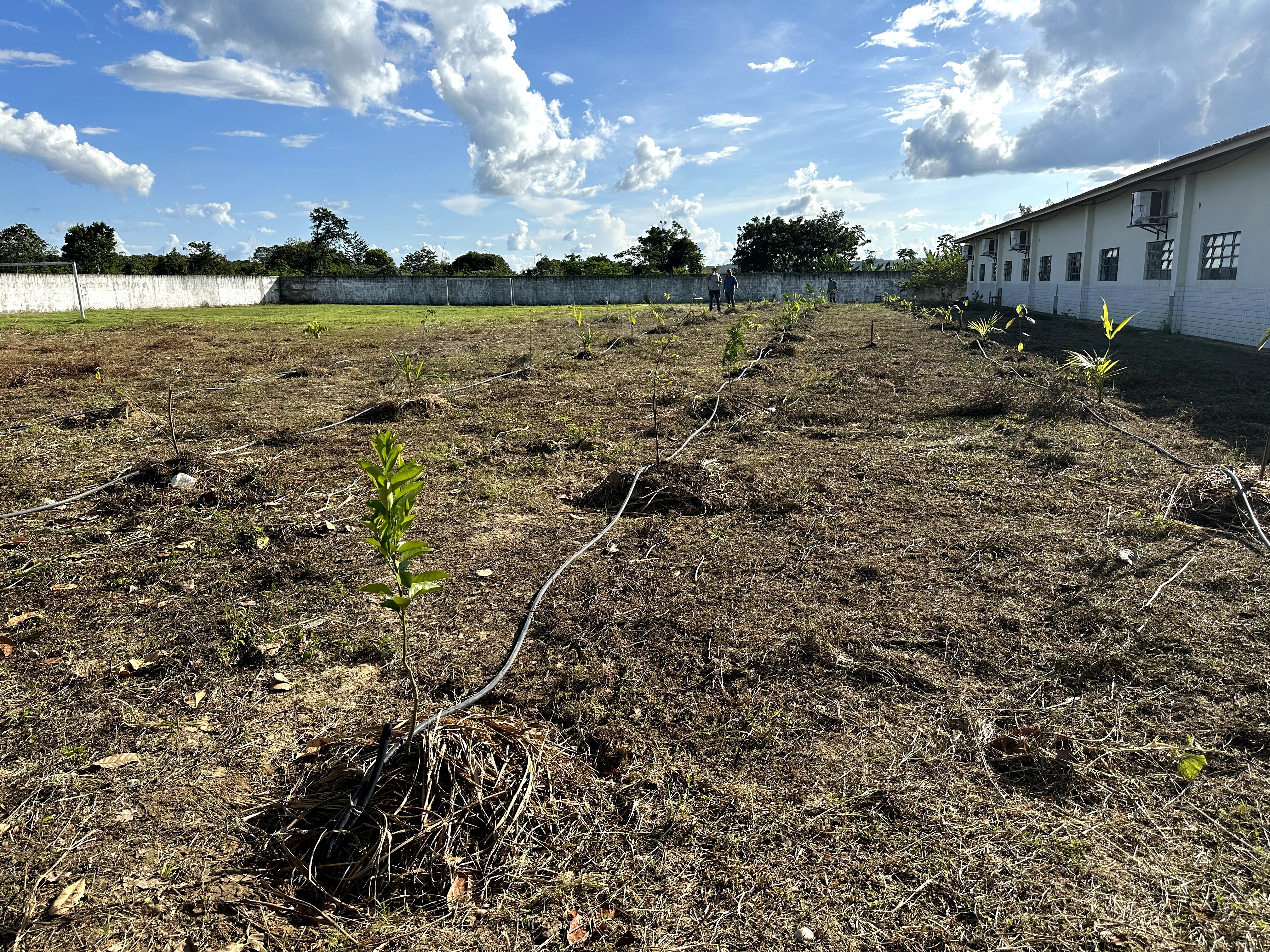 Visita ao município de Ulianópolis em maio de 2023 (Imagem: Armando Ribeiro/Imazon)