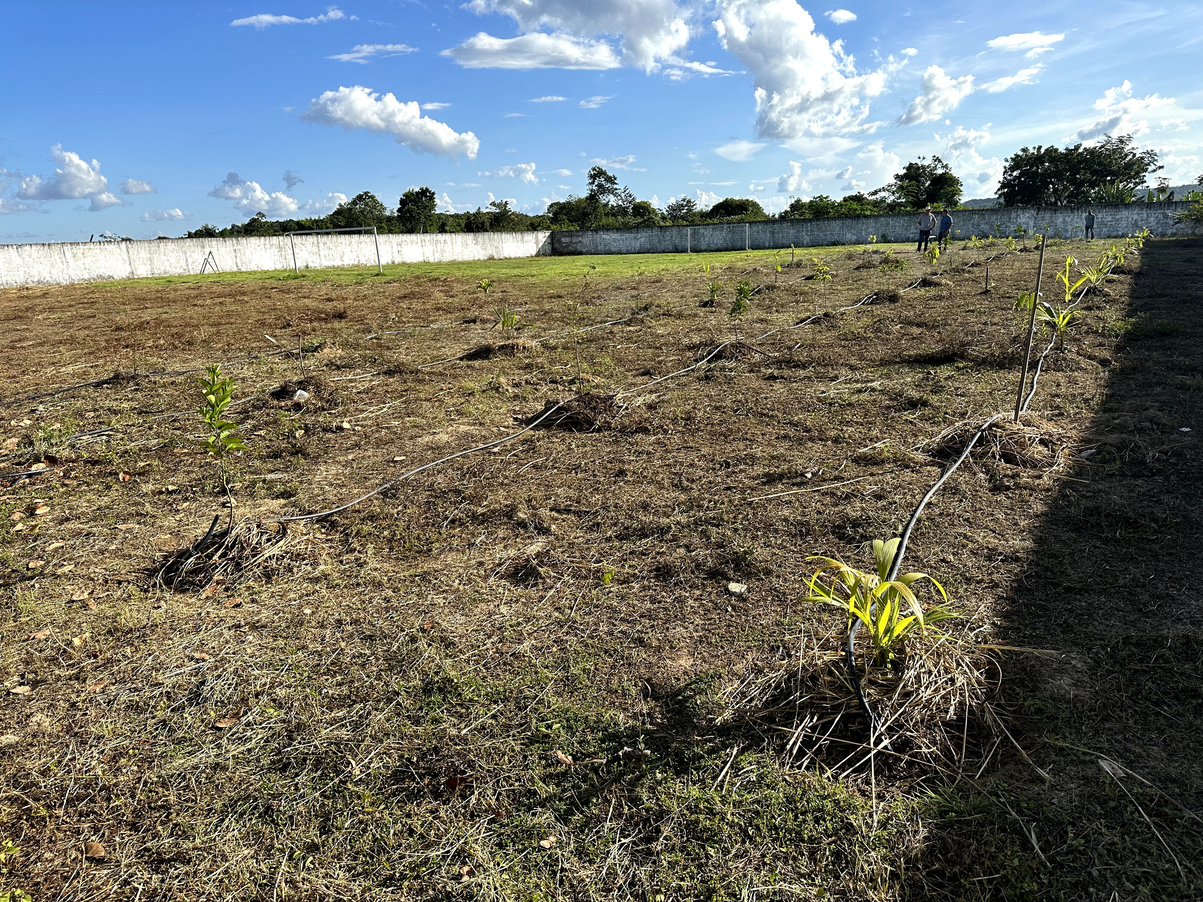 Visita ao município de Ulianópolis em maio de 2023 (Imagem: Armando Ribeiro/Imazon)