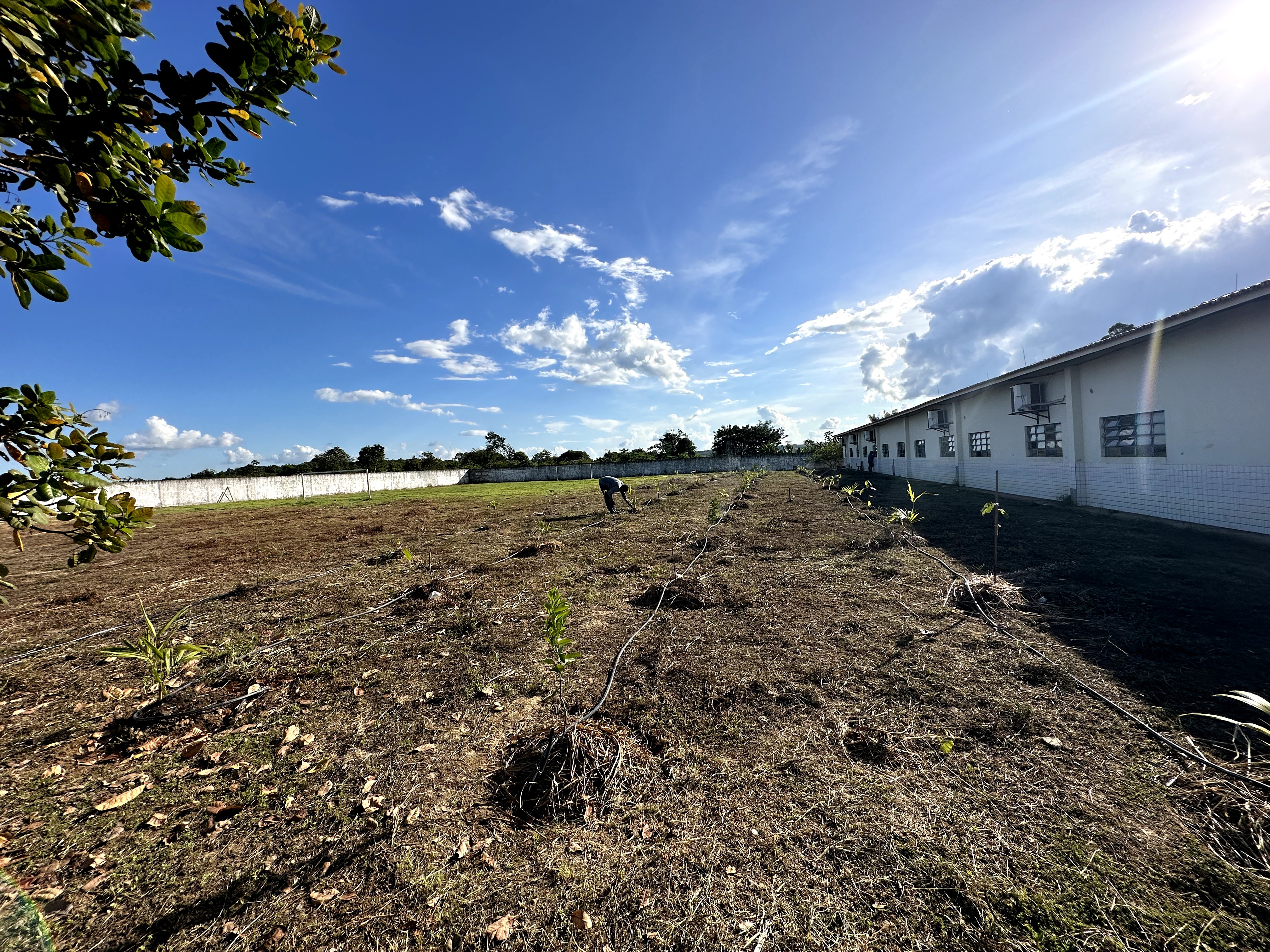 Visita ao município de Ulianópolis em maio de 2023 (Imagem: Armando Ribeiro/Imazon)