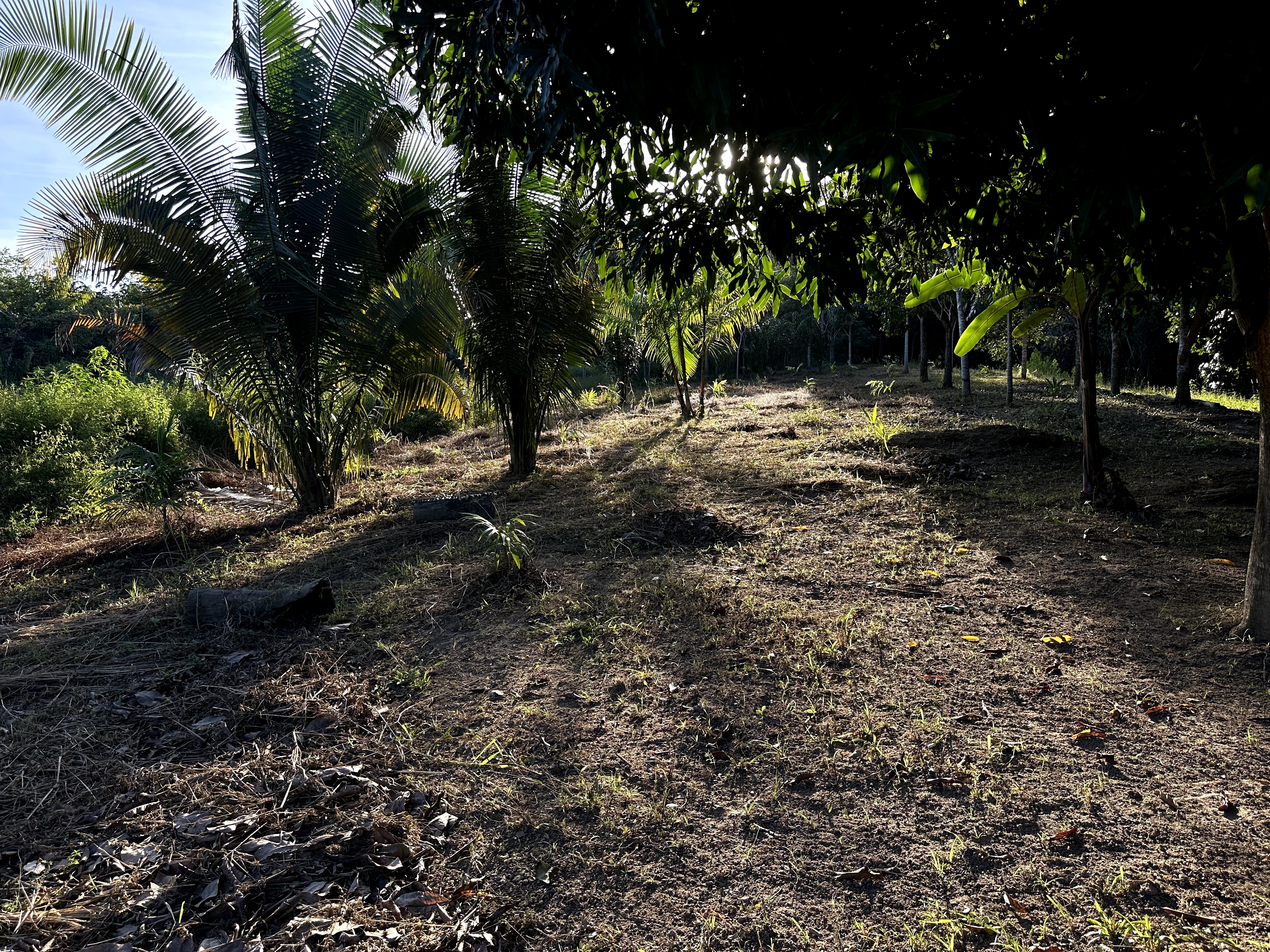 Visita ao município de Ulianópolis em maio de 2023 (Imagem: Armando Ribeiro/Imazon)