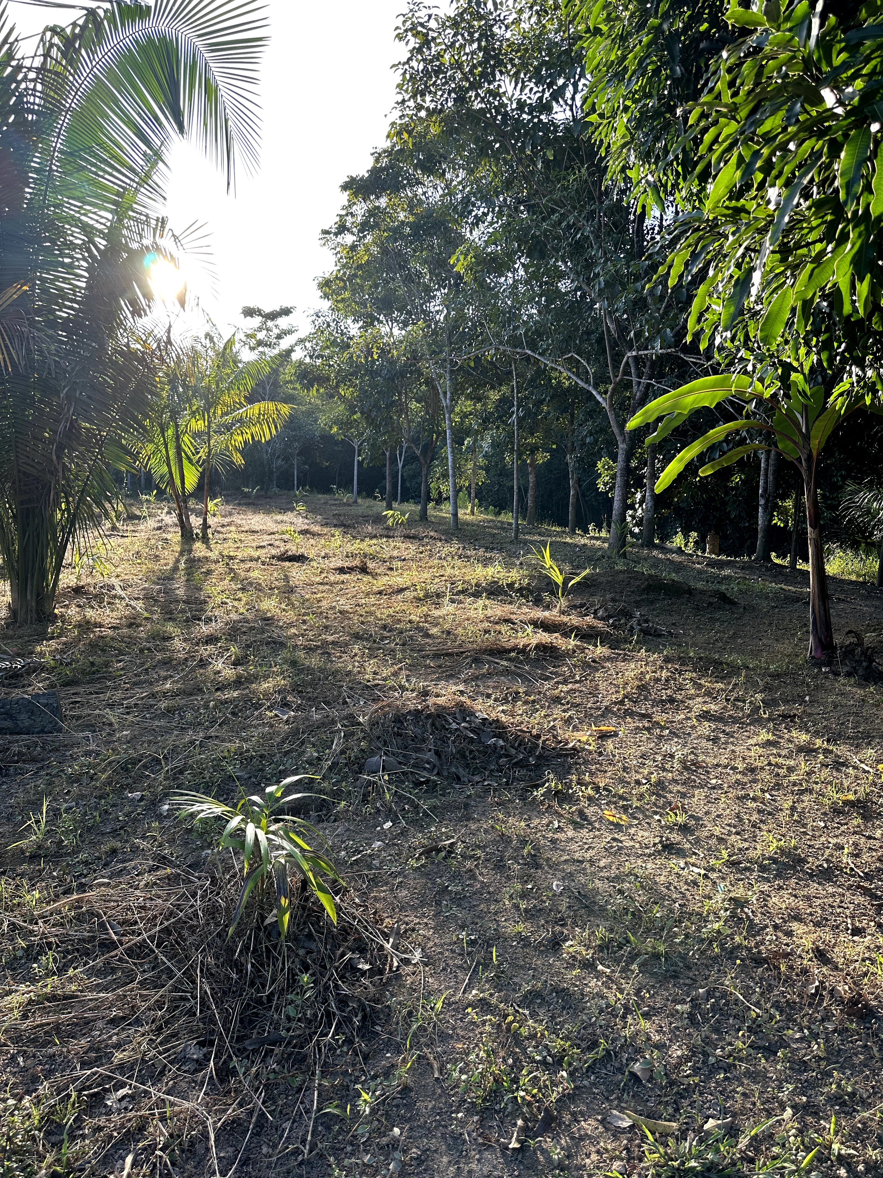 Visita ao município de Ulianópolis em maio de 2023 (Imagem: Armando Ribeiro/Imazon)