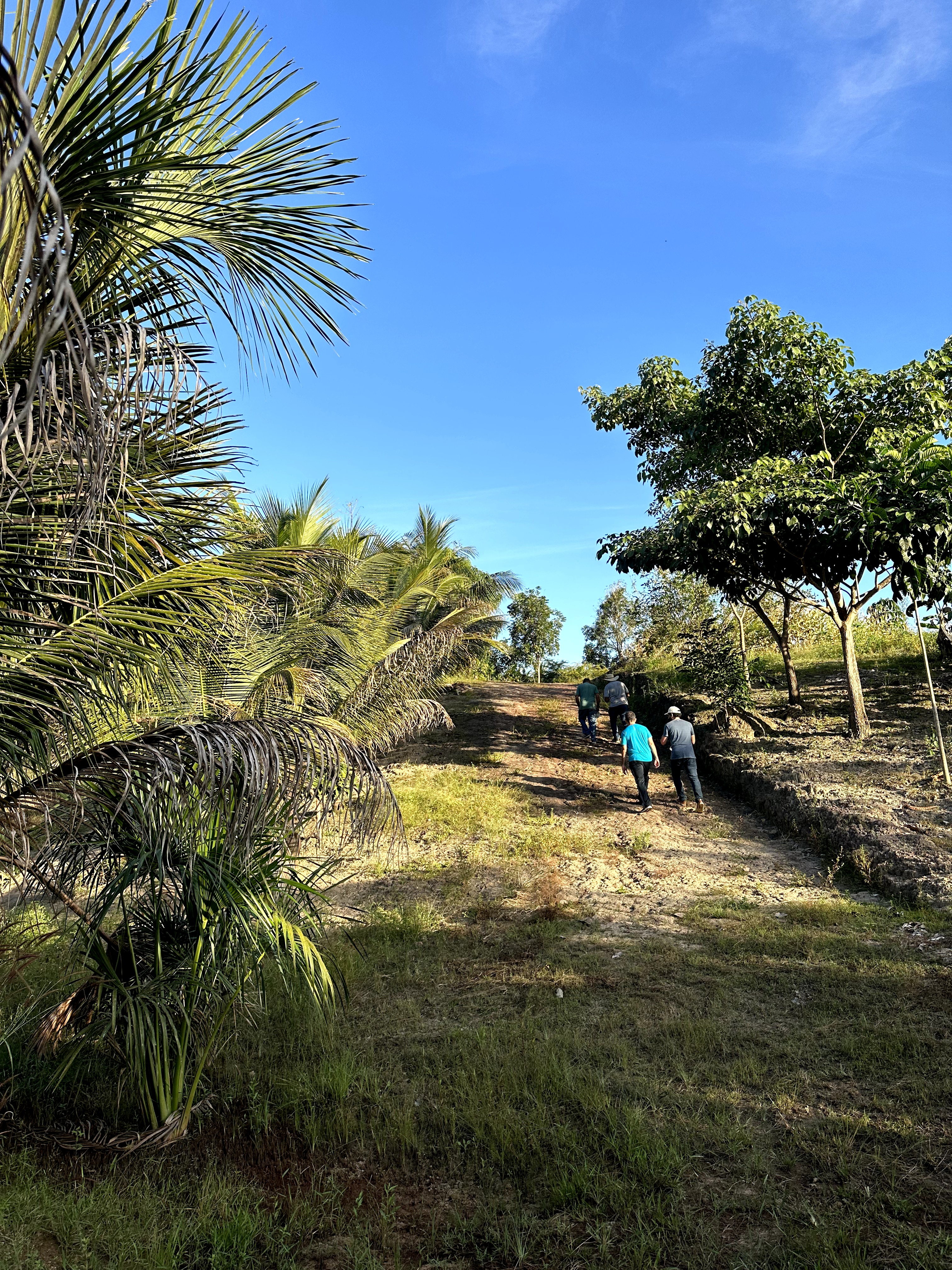 Visita ao município de Ulianópolis em maio de 2023 (Imagem: Armando Ribeiro/Imazon)