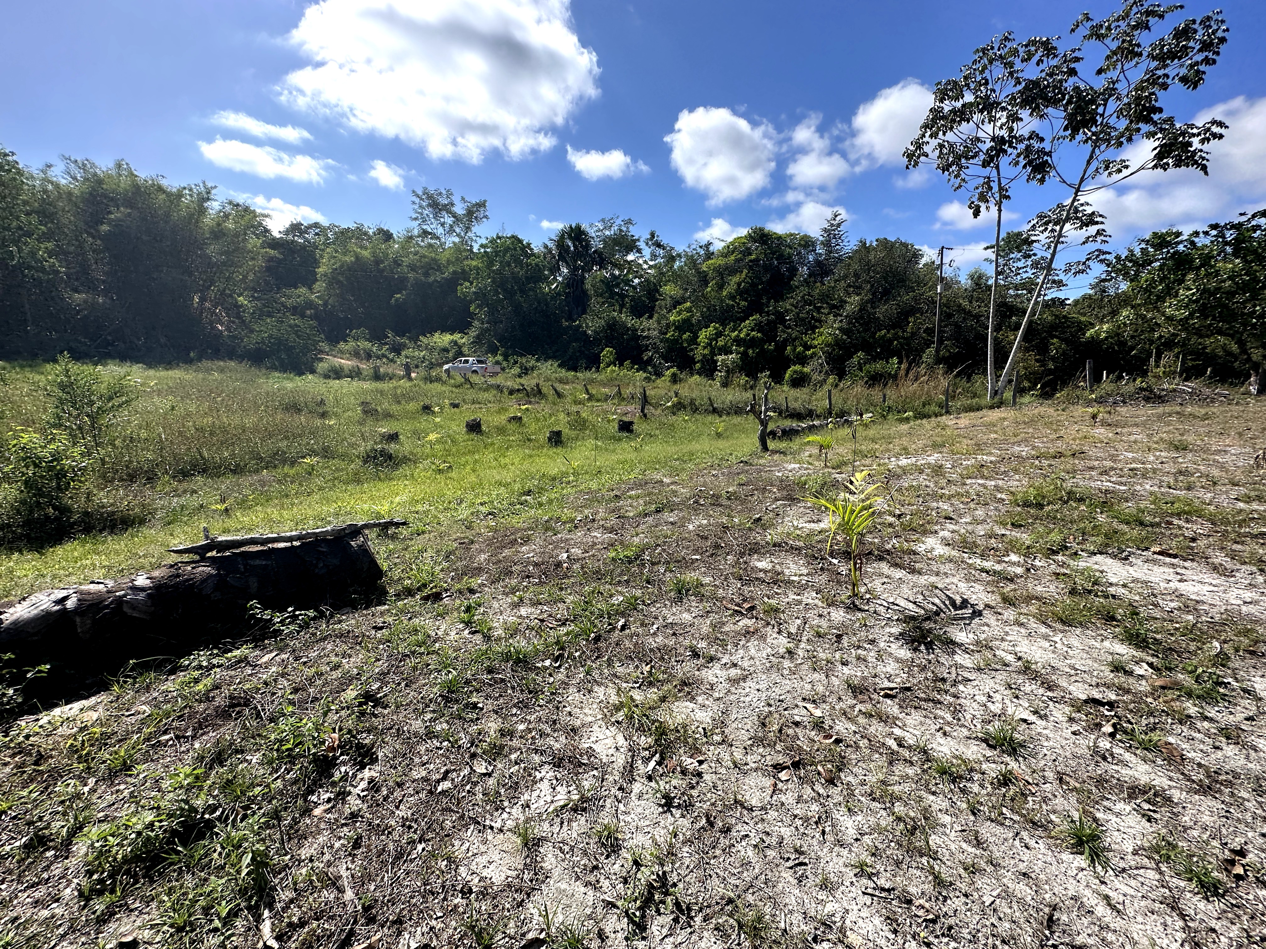 Visita ao município de Ulianópolis em julho de 2023 (Imagem: Fernanda da Costa/Imazon)