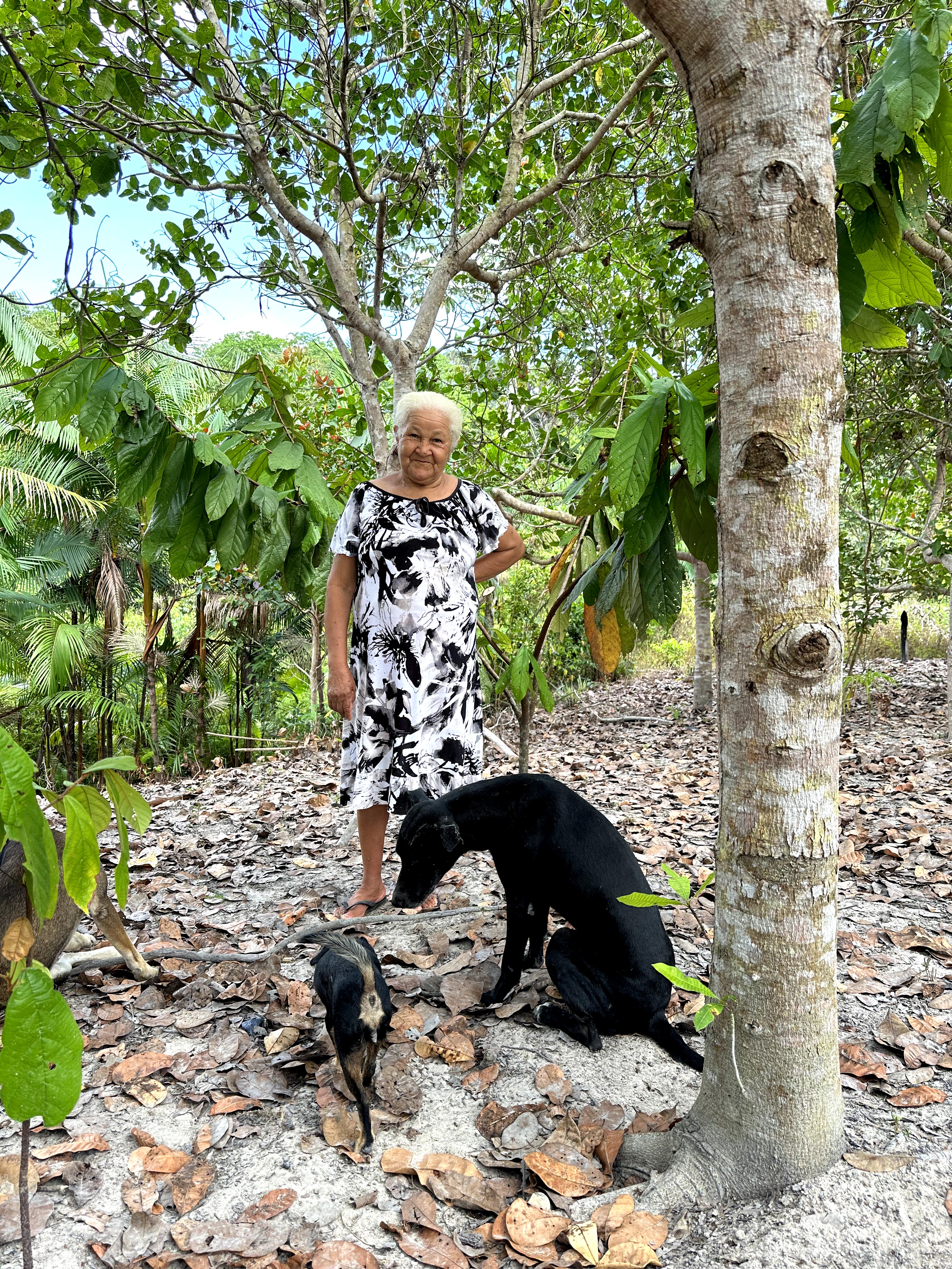 Visita ao município de Ulianópolis em julho de 2023 (Imagem: Fernanda da Costa/Imazon)