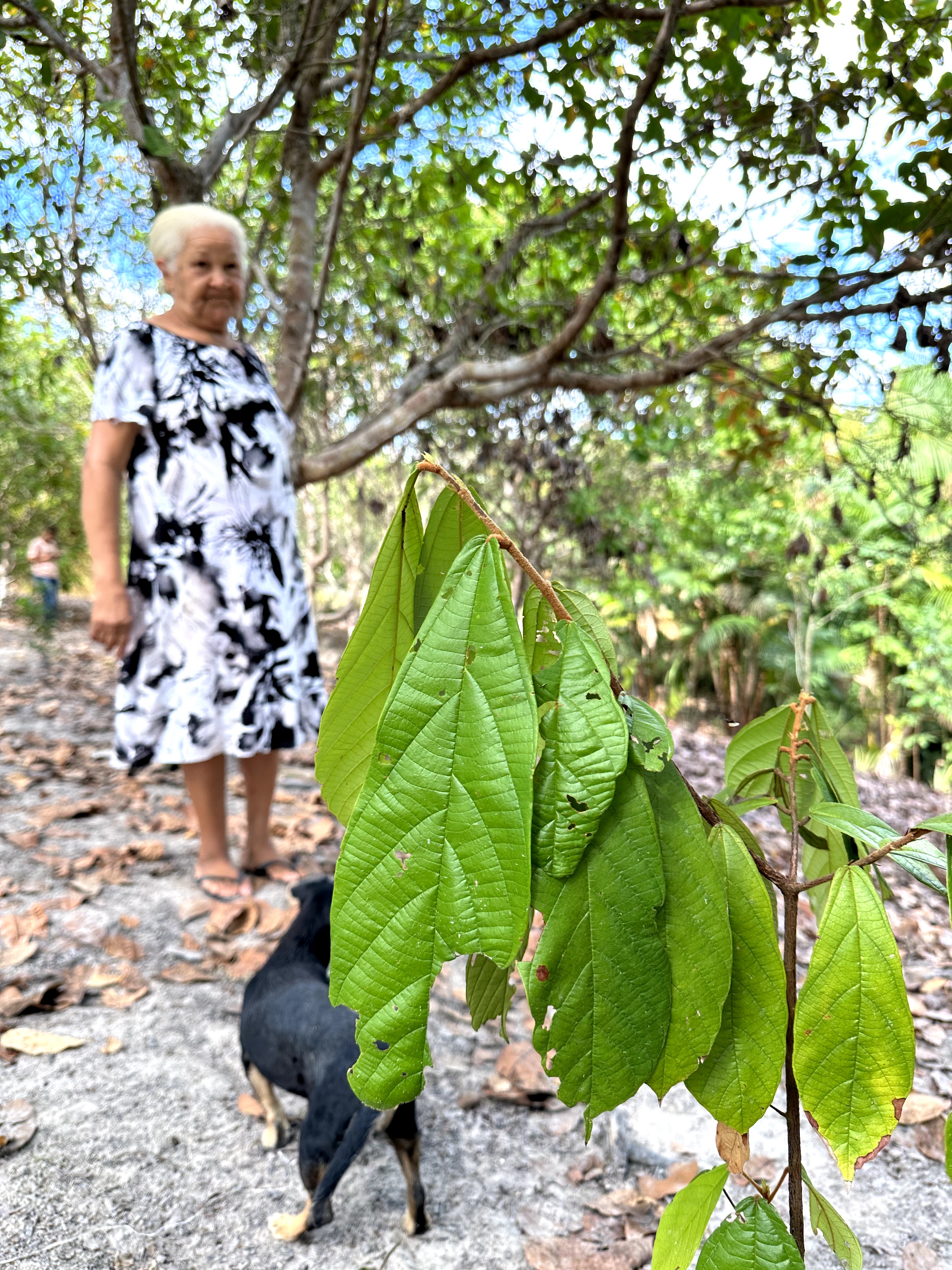Visita ao município de Ulianópolis em julho de 2023 (Imagem: Fernanda da Costa/Imazon)