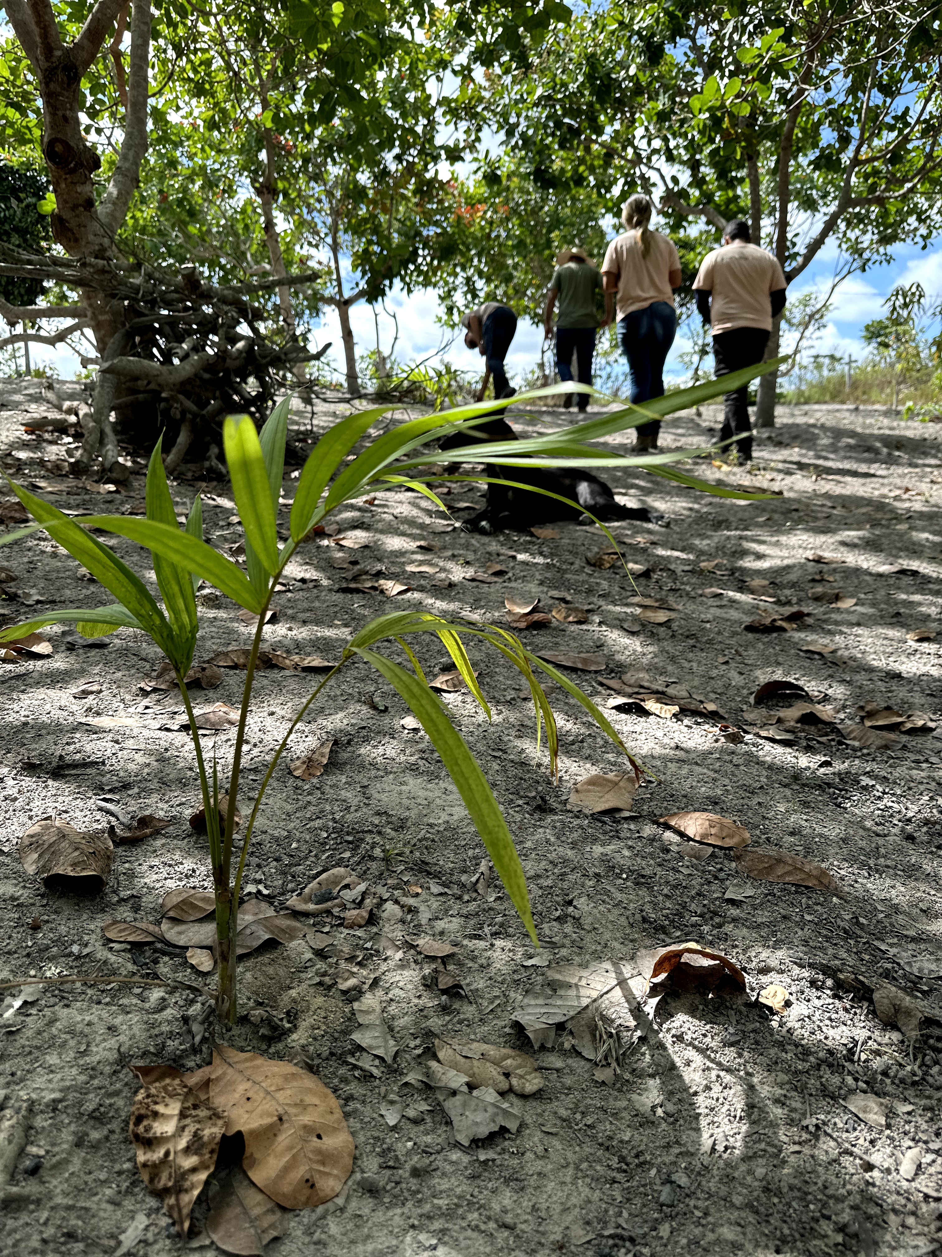 Visita ao município de Ulianópolis em julho de 2023 (Imagem: Fernanda da Costa/Imazon)