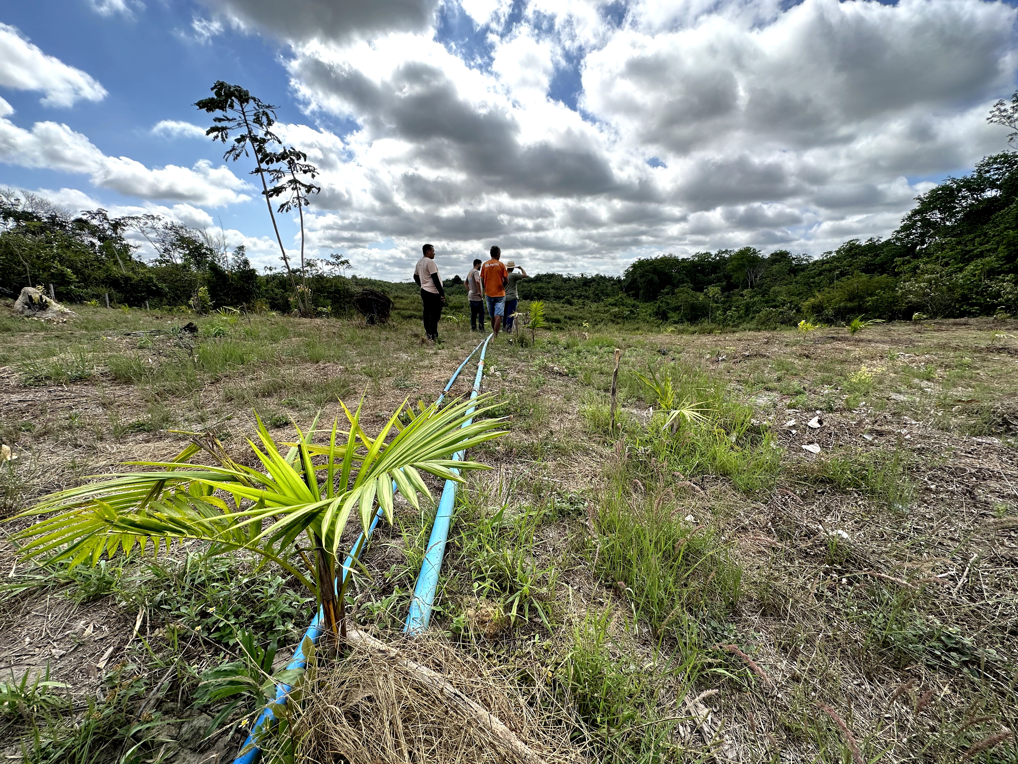 Visita ao município de Ulianópolis em julho de 2023 (Imagem: Fernanda da Costa/Imazon)