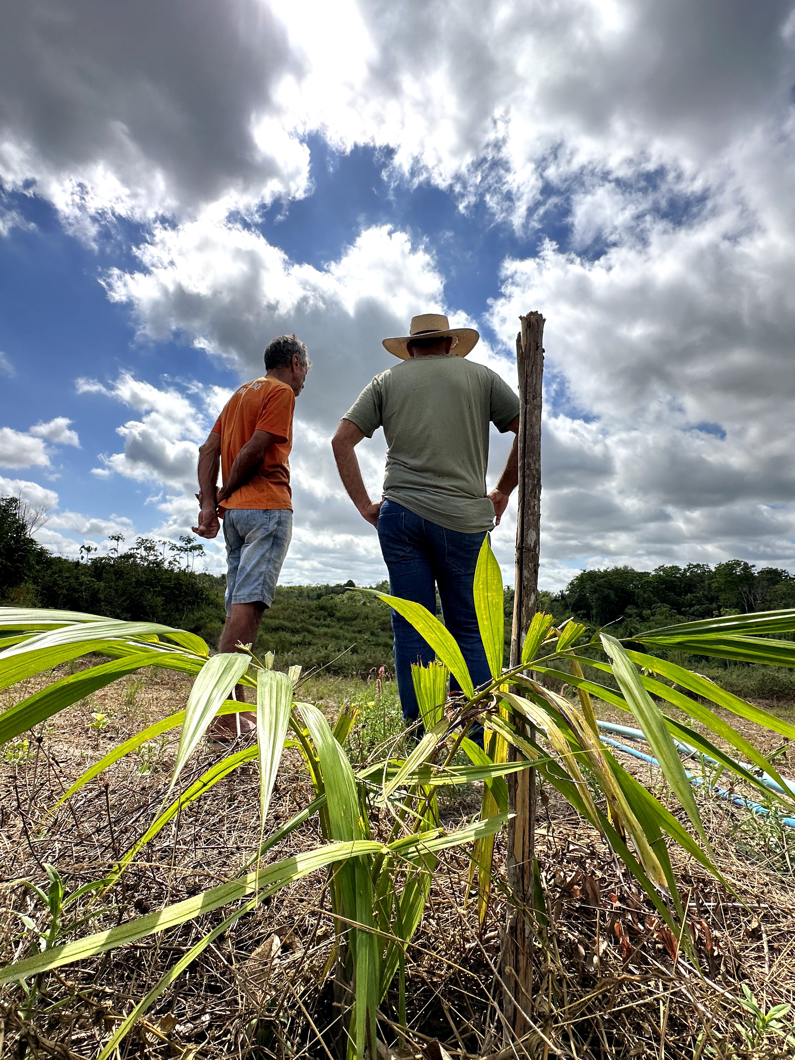 Visita ao município de Ulianópolis em julho de 2023 (Imagem: Fernanda da Costa/Imazon)