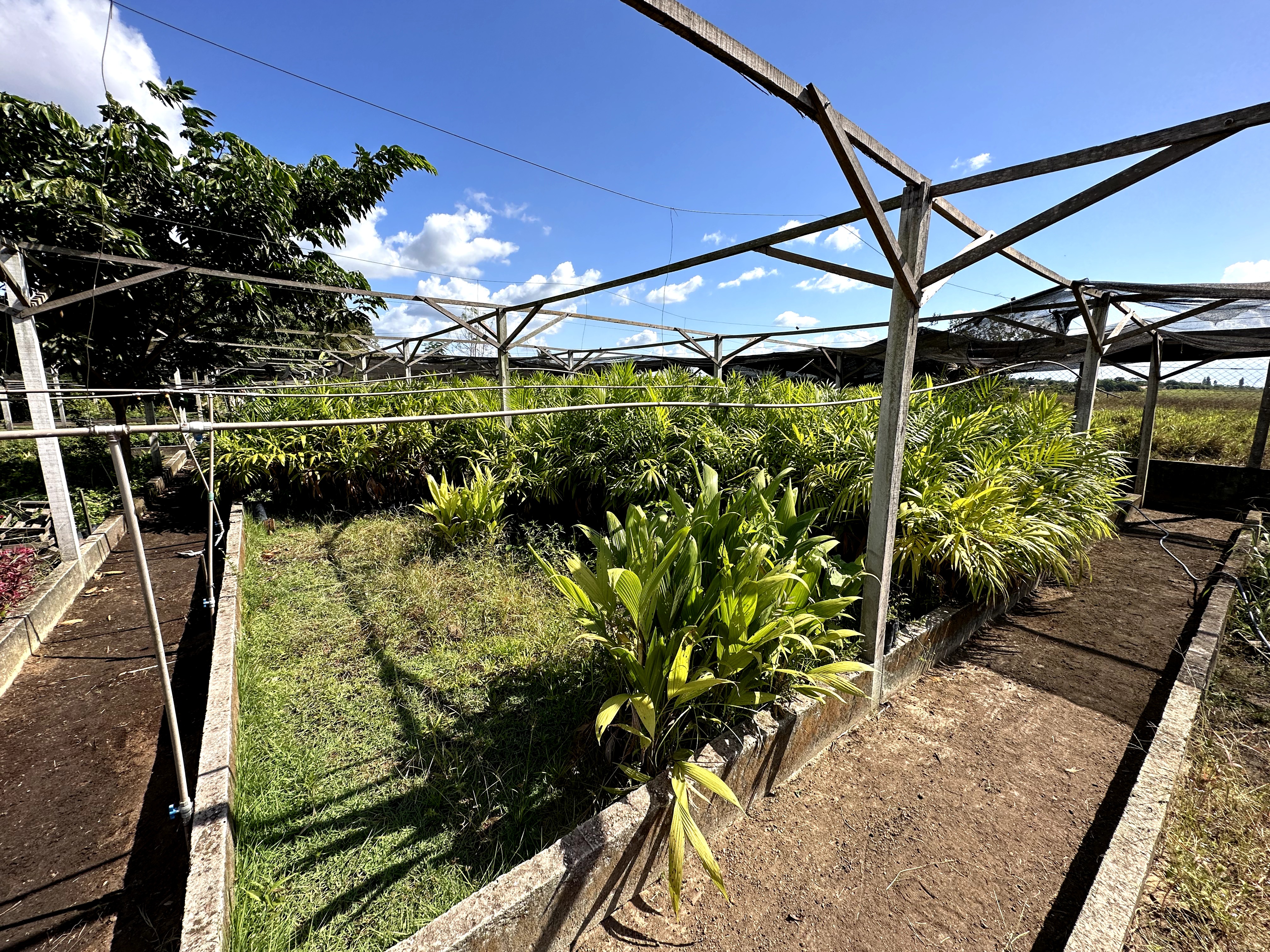 Visita ao município de Ulianópolis em julho de 2023 (Imagem: Fernanda da Costa/Imazon)