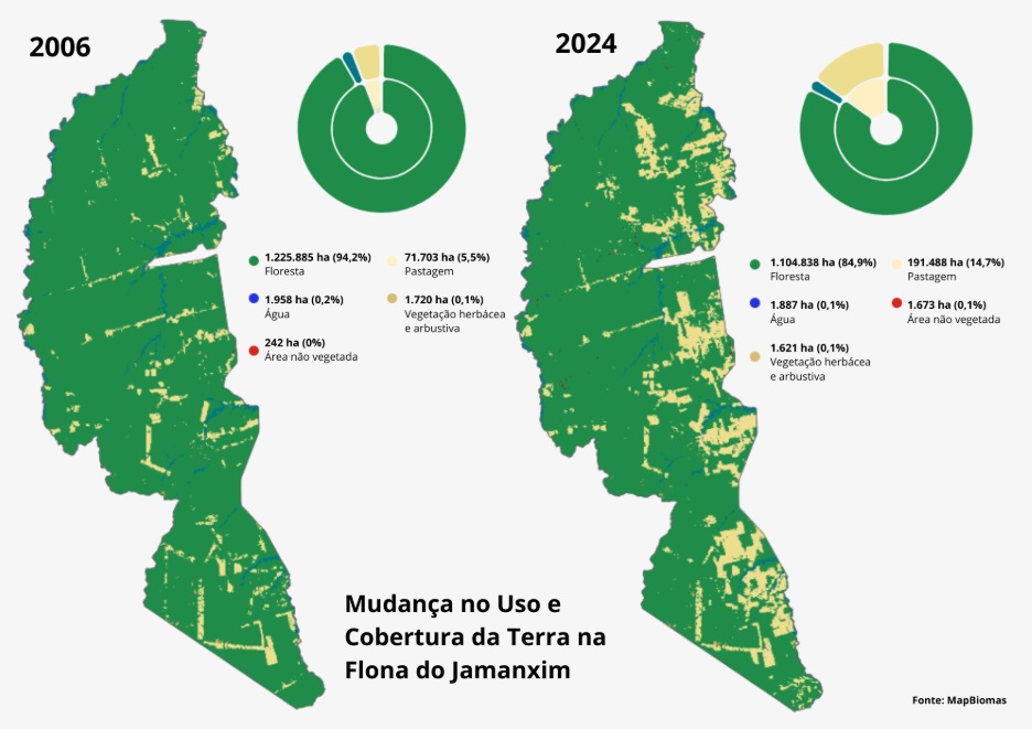 Mudança no uso e cobertura da terra na Flona do Jamanxim de 2006 a 2024