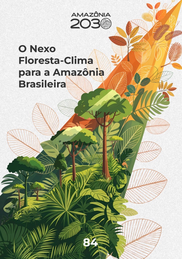 O Nexo Floresta-Clima para a Amazônia Brasileira