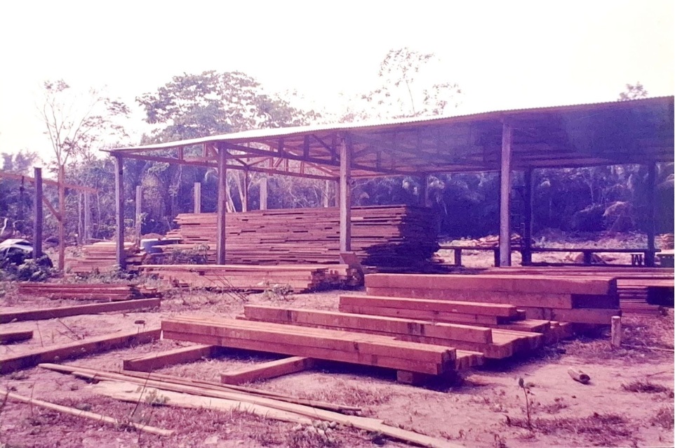Pátio de estocagem de madeira serrada na Amazônia, nos anos 90 (Foto: Arquivo Imazon)