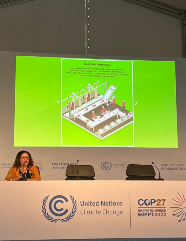 Pesquisadora Ritaumaria Pereira apresentando Radar Verde na COP 27, no Egito (Foto: Imazon)
