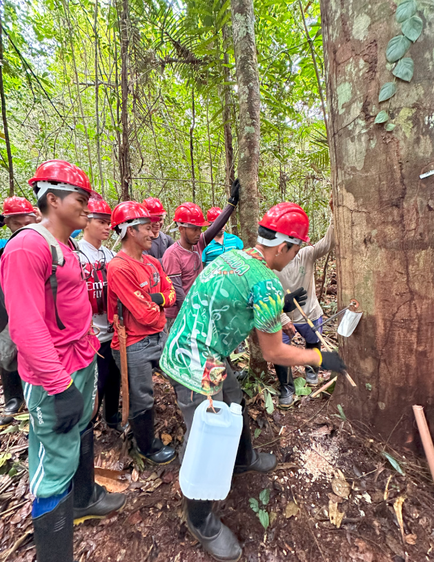 Ribeirinhos moradores da Floresta Estadual (Flota) de Faro, no Pará, durante curso de Manejo Sustentável da Copaíba, promovido em 2023 pelo Imazon (Foto: Fernanda da Costa)